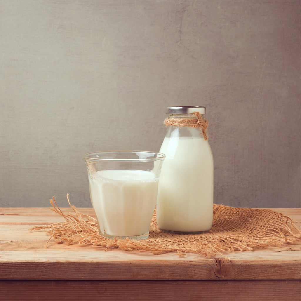 What's in Your Milk? | The Power of Lactoferrin